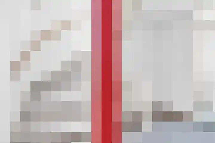 Danackers 29 Emmen thumbnail 14