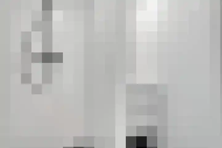 Danackers 29 Emmen thumbnail 16