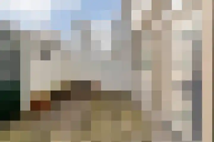 Danackers 29 Emmen thumbnail 23