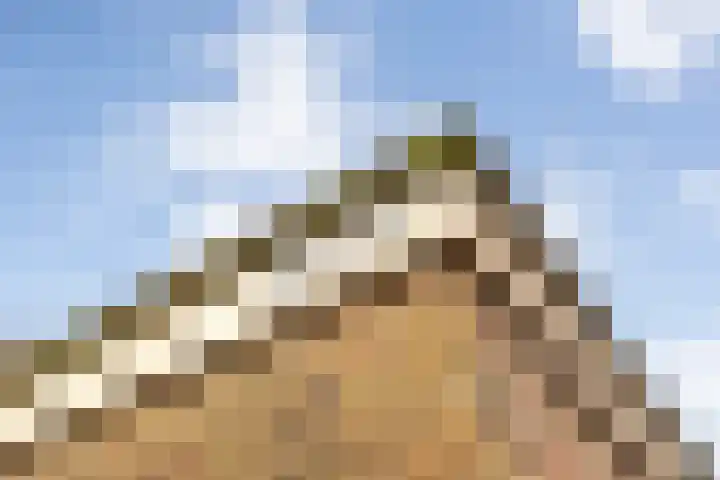 Danackers 29 Emmen thumbnail 25