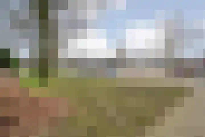 Danackers 29 Emmen thumbnail 28