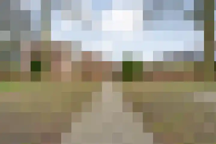 Danackers 29 Emmen thumbnail 29