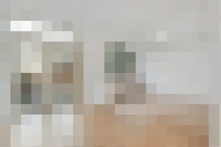 Danackers 29 Emmen foto 3