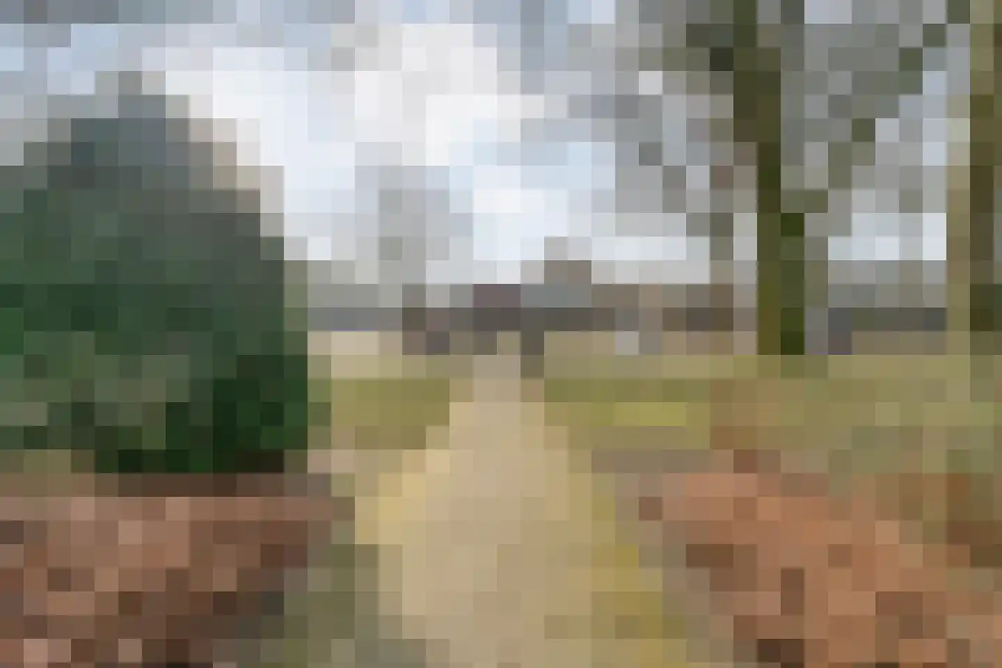 Danackers 29 Emmen thumbnail 30
