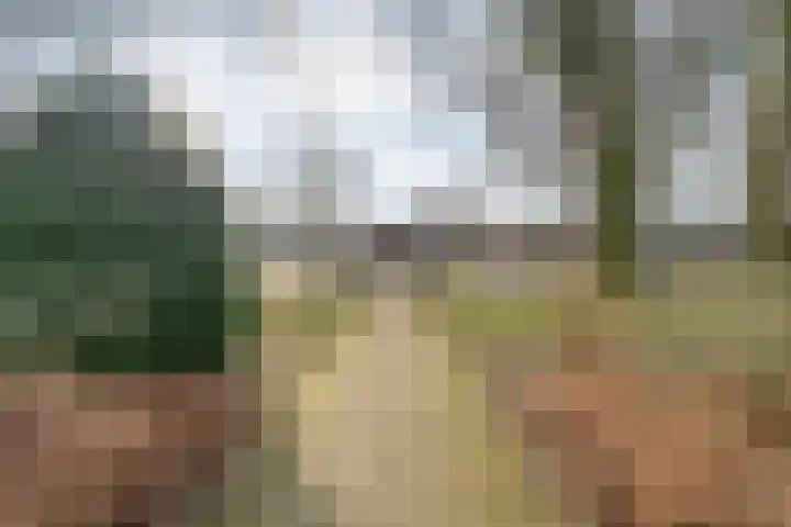 Danackers 29 Emmen thumbnail 30