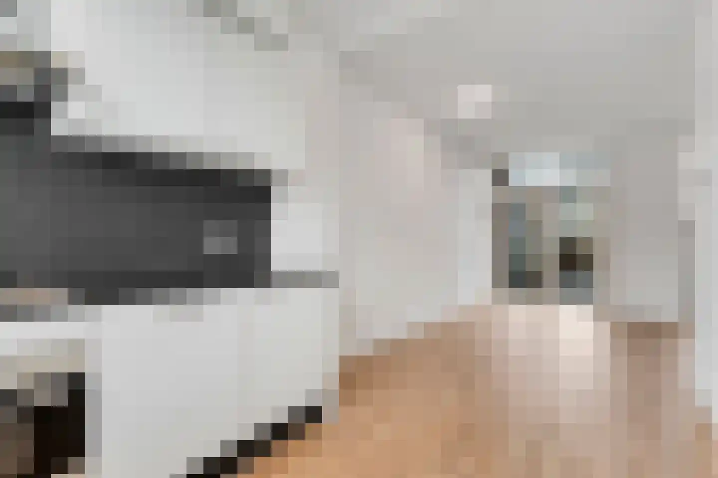 Danackers 29 Emmen thumbnail 4