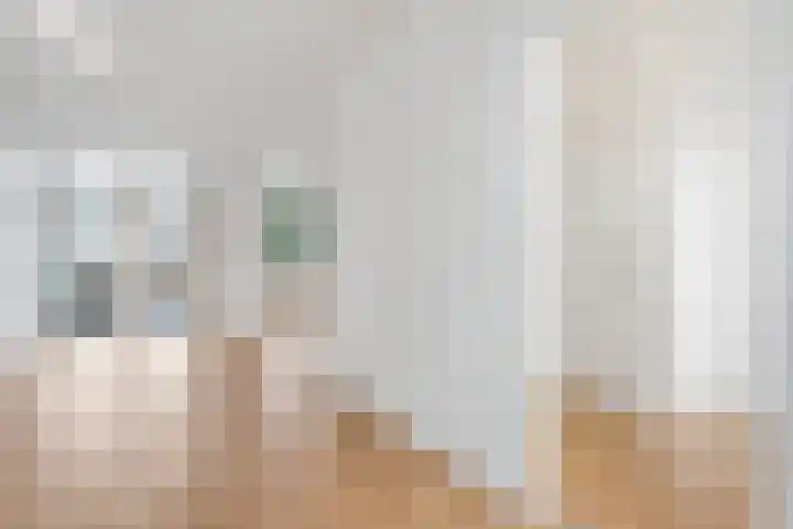 Danackers 29 Emmen thumbnail 4