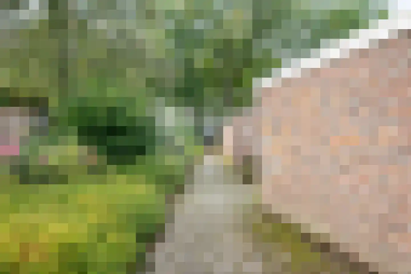 Danackers 9 Emmen thumbnail 5