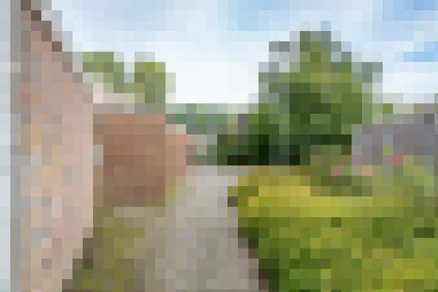 Danackers 9 Emmen thumbnail 6
