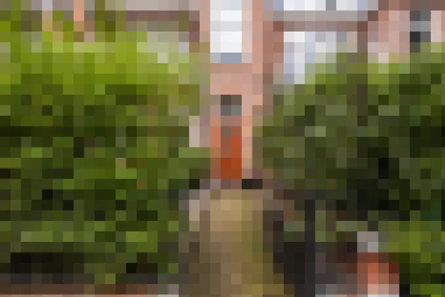 Danckertsstraat 1 Den Haag thumbnail 12