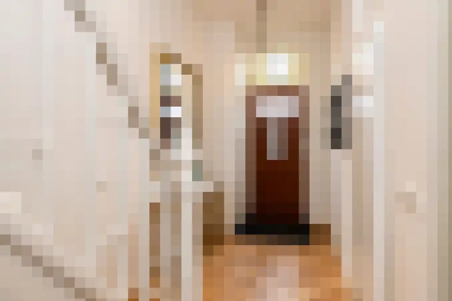Danckertsstraat 1 Den Haag thumbnail 15