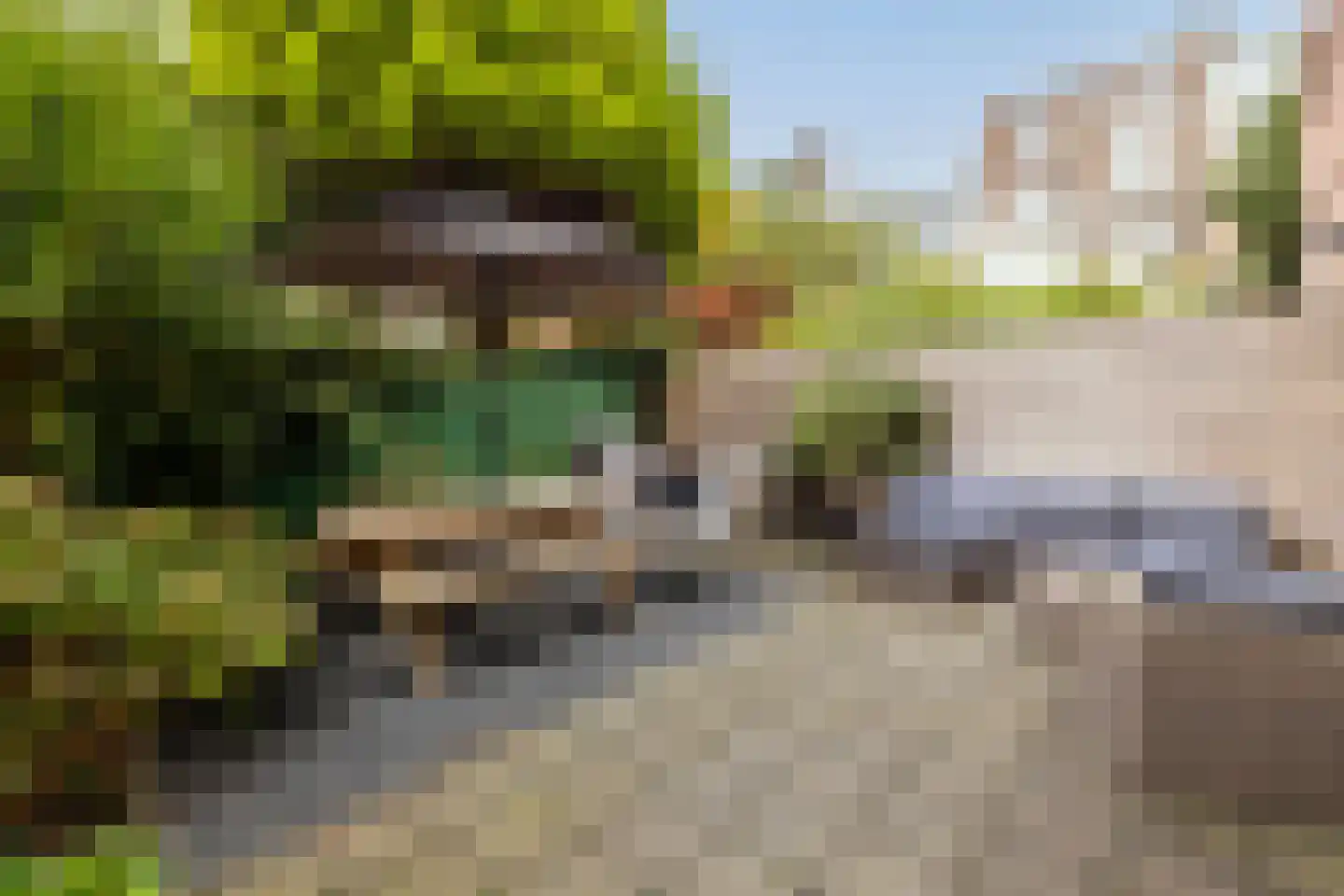 Danckertsstraat 1 Den Haag thumbnail 31