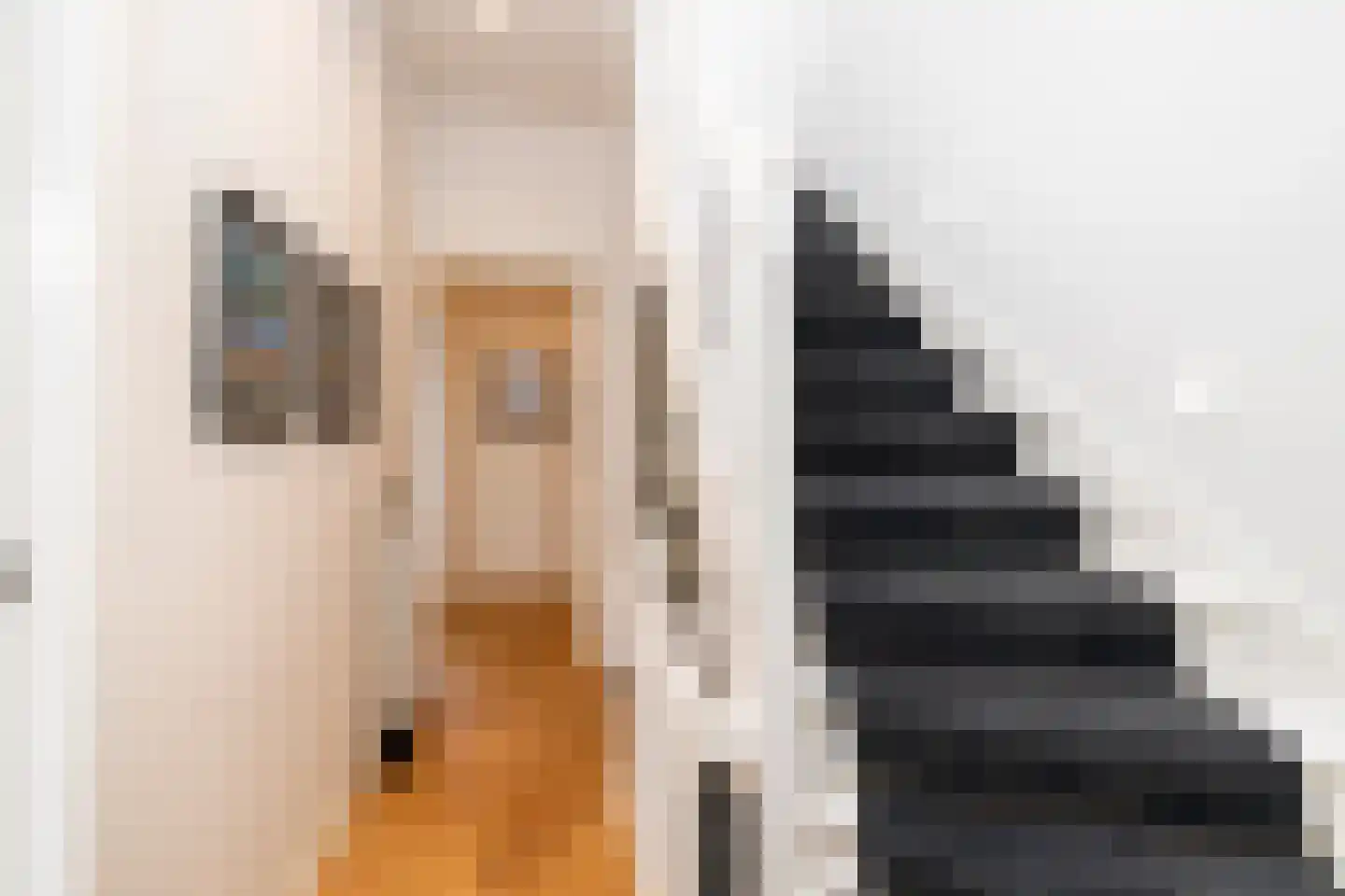 Danckertsstraat 1 Den Haag thumbnail 33