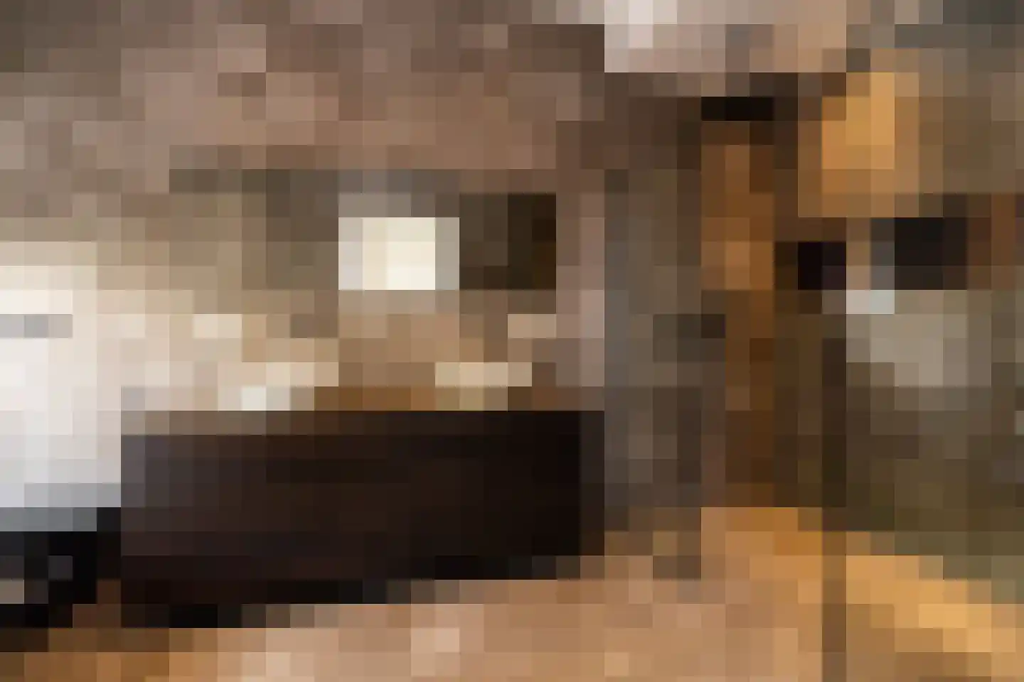 Danckertsstraat 1 Den Haag thumbnail 38