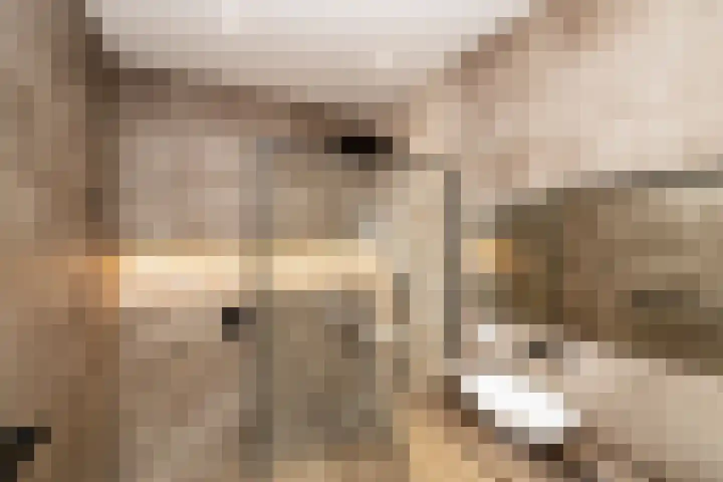 Danckertsstraat 1 Den Haag thumbnail 69