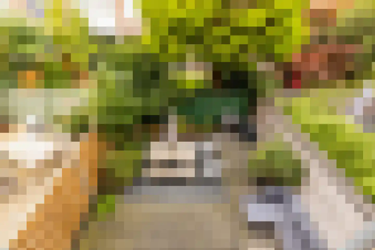 Danckertsstraat 1 Den Haag thumbnail 75