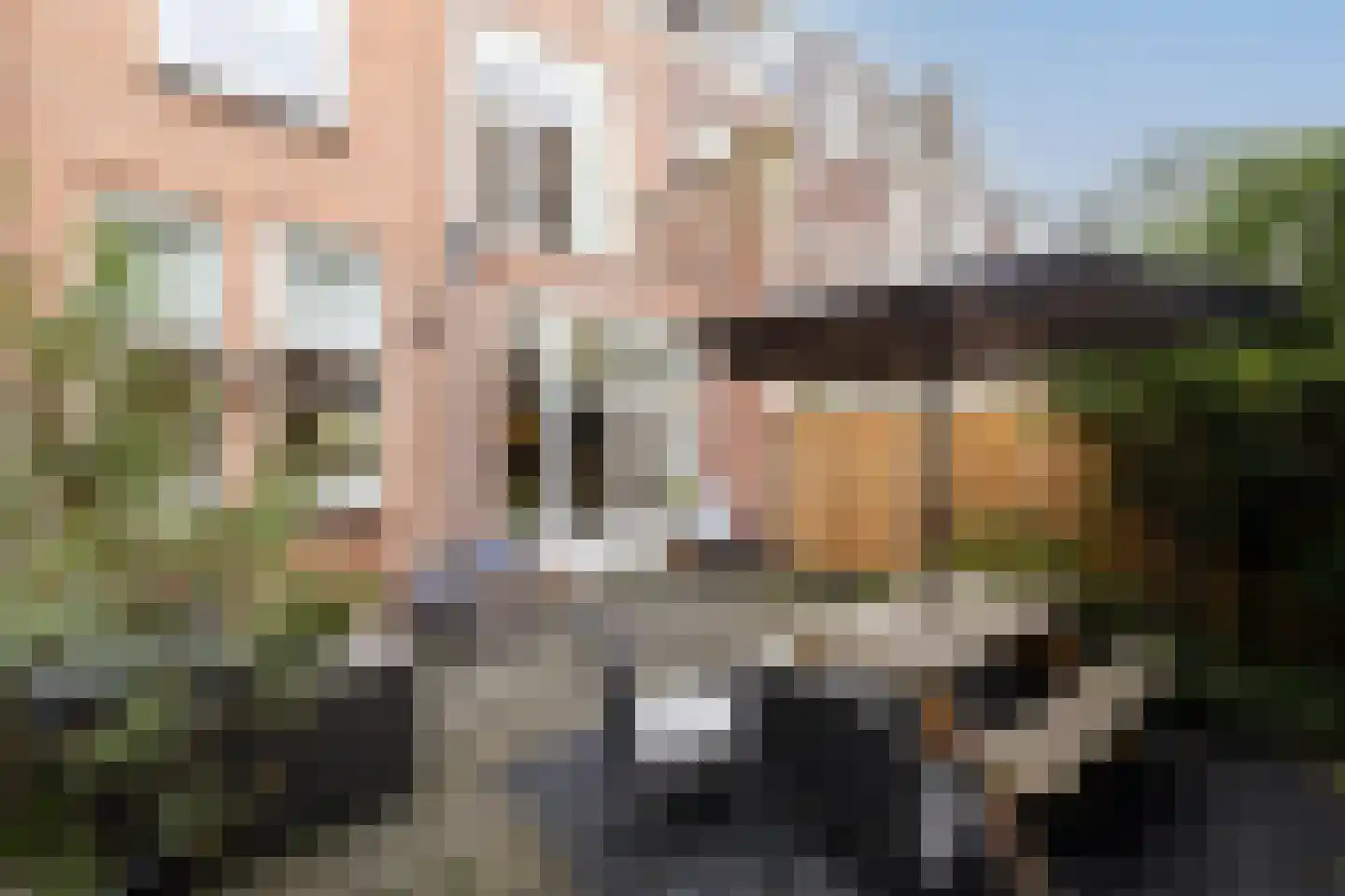 Danckertsstraat 1 Den Haag thumbnail 76