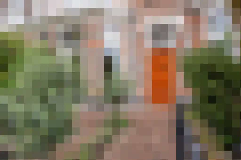 Danckertsstraat 19 Den Haag thumbnail 4