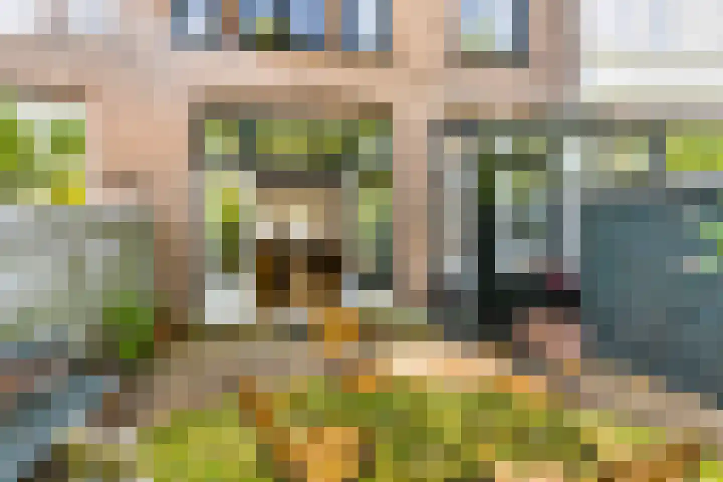 Danckertsstraat 21 Den Haag thumbnail 22