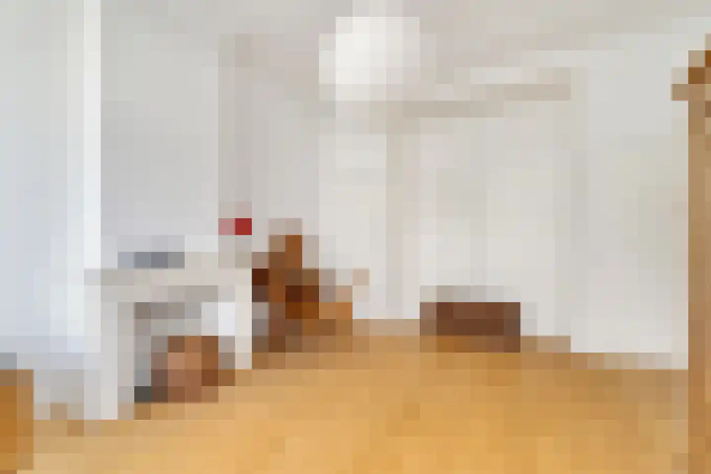 Danckertsstraat 21 Den Haag thumbnail 33