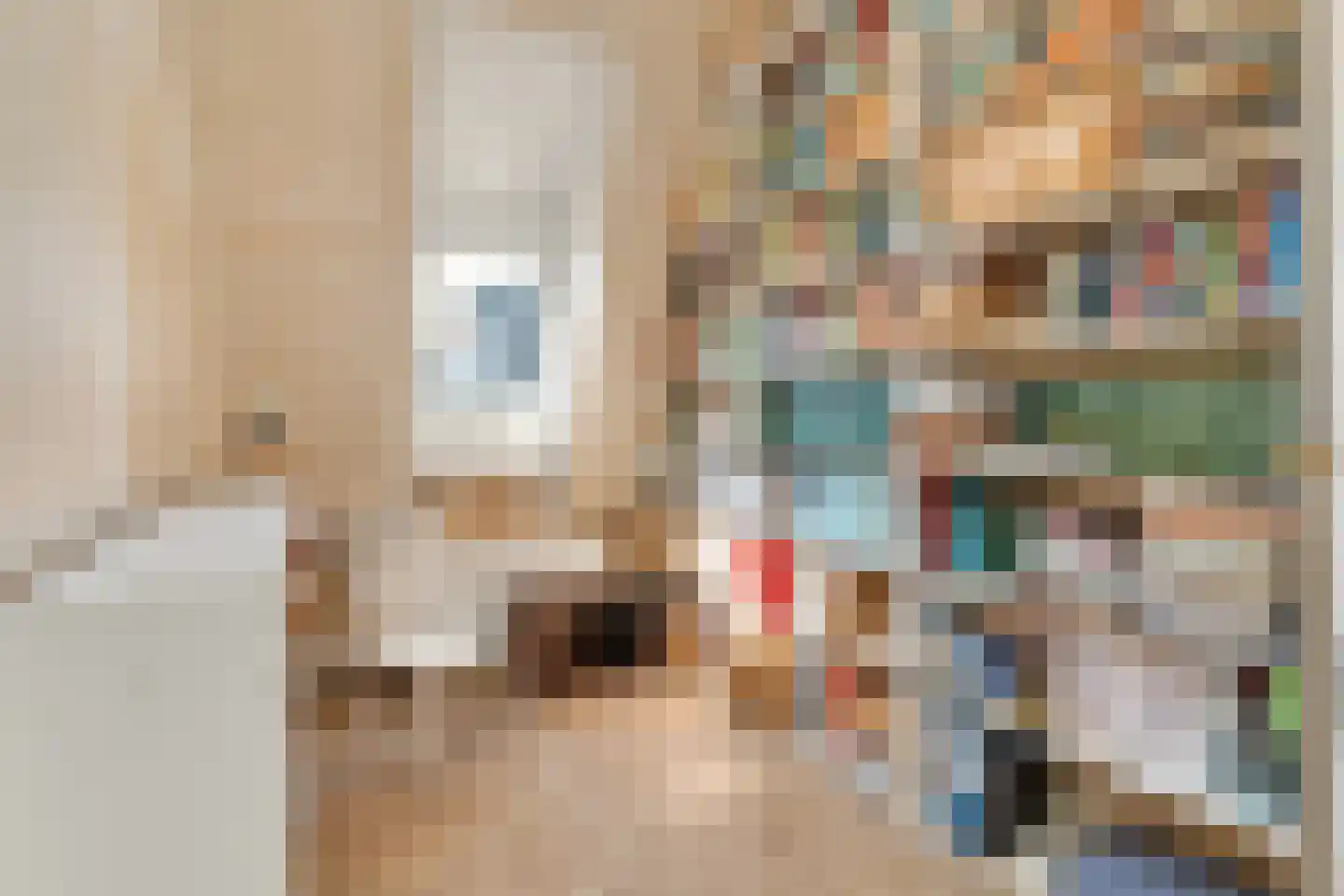 Danckertsstraat 21 Den Haag thumbnail 42