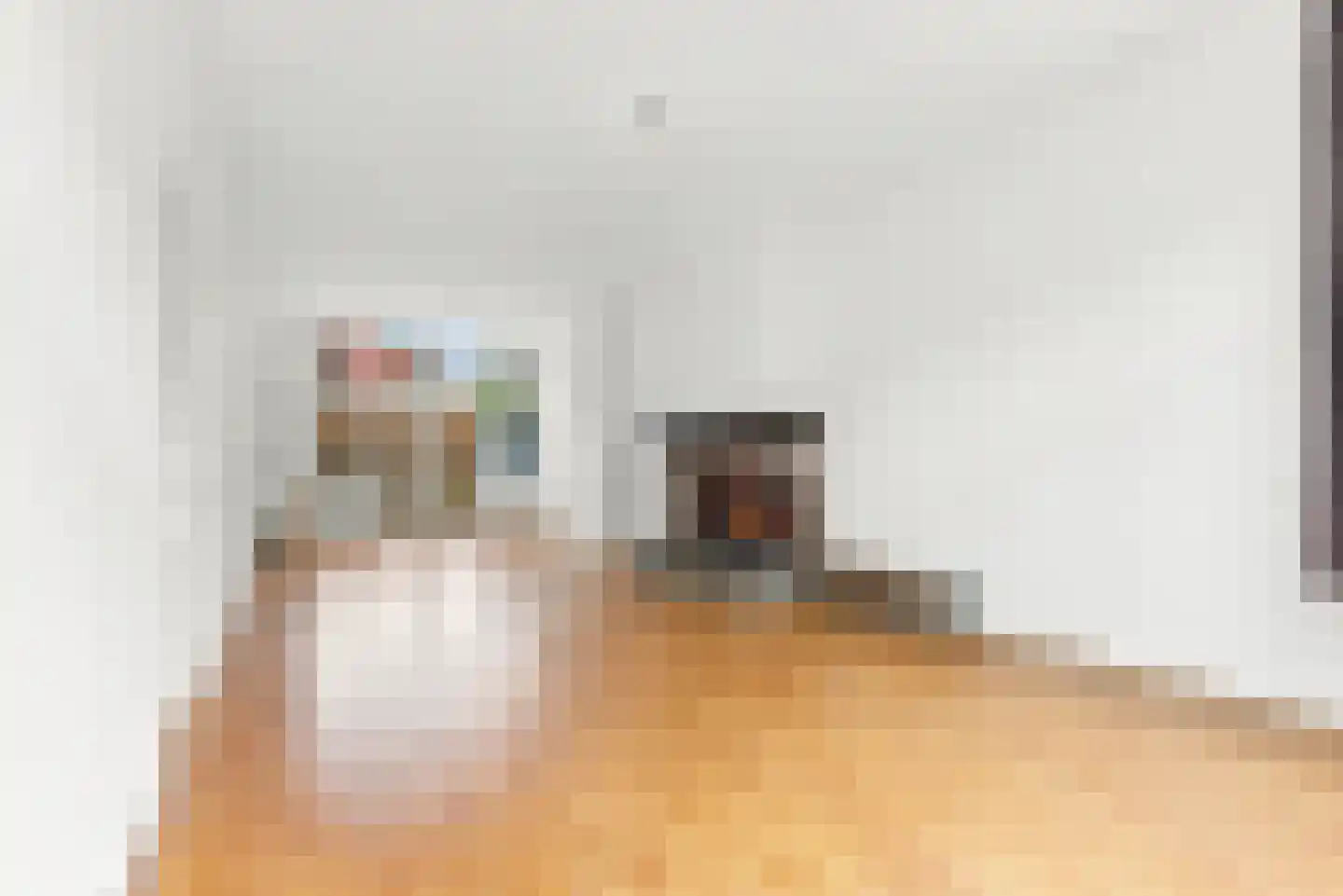 Danckertsstraat 35 A Den Haag thumbnail 8