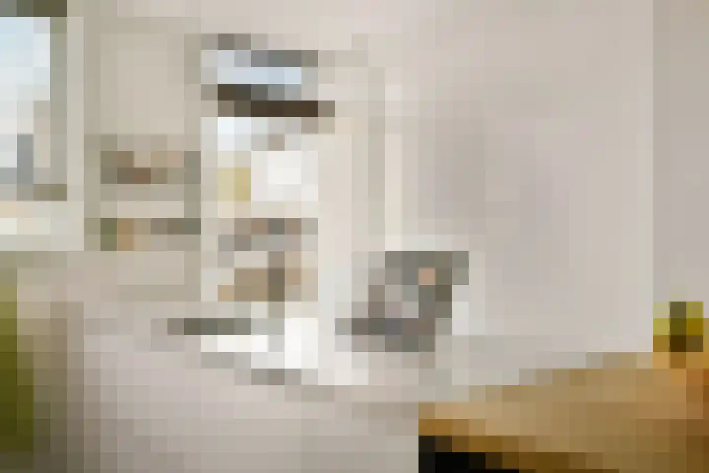 Danie Theronstraat 13 C Amsterdam thumbnail 11