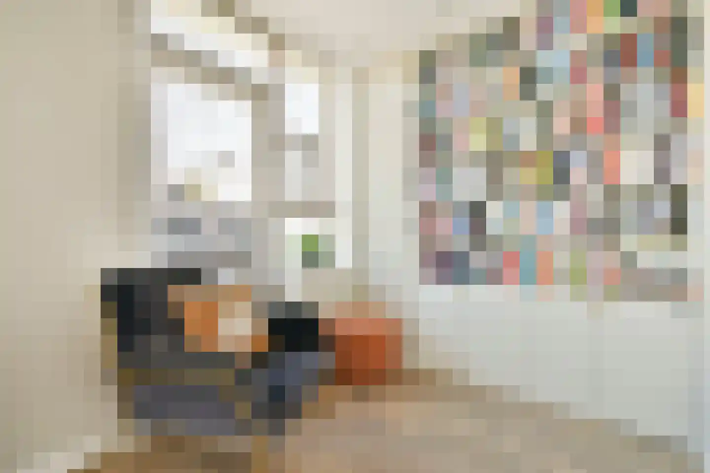 Danie Theronstraat 13 C Amsterdam thumbnail 16