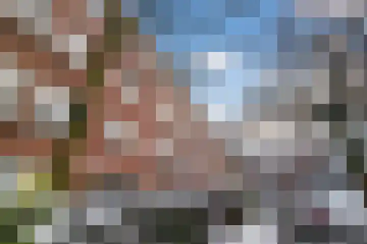 Danie Theronstraat 13 C Amsterdam thumbnail 23