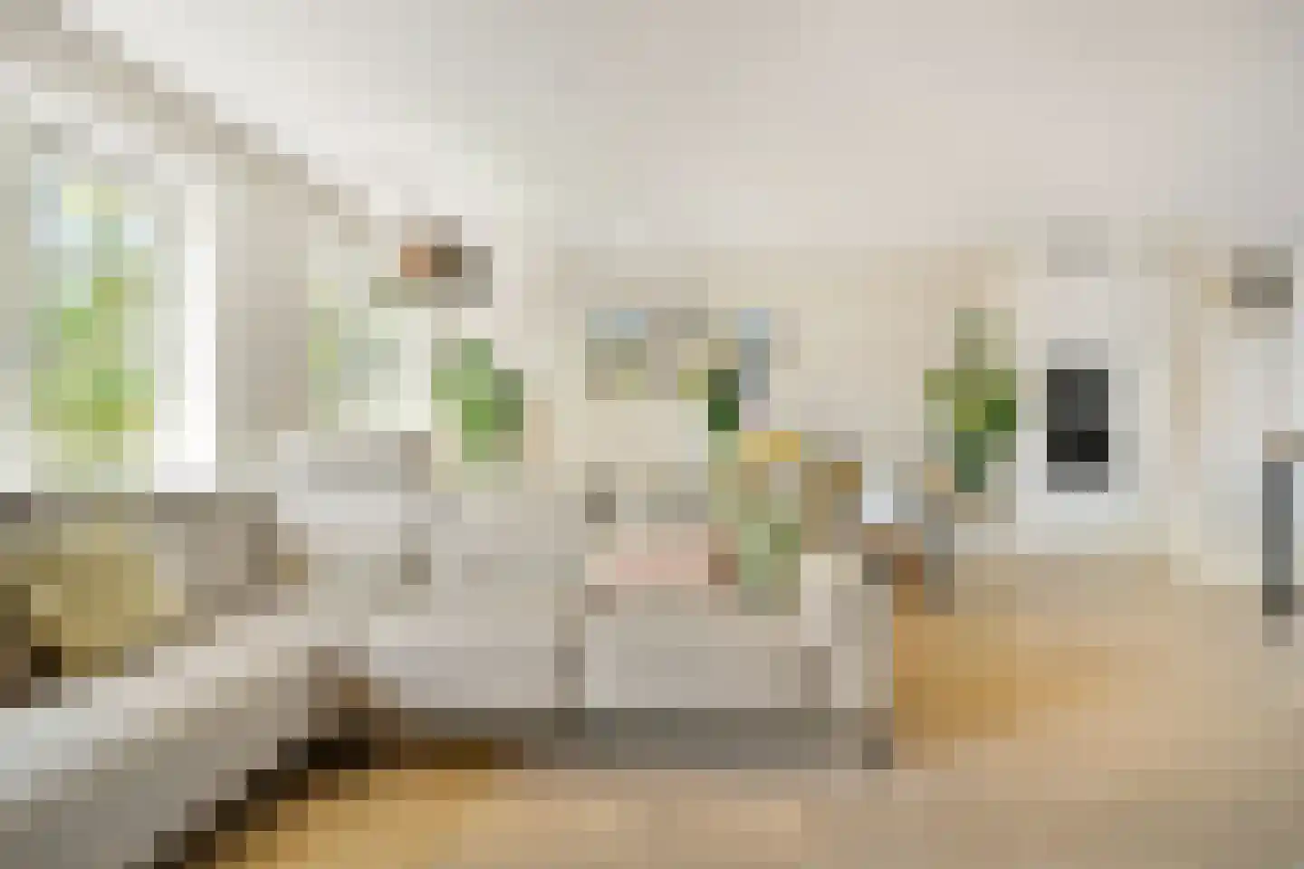 Danie Theronstraat 13 C Amsterdam thumbnail 7