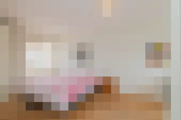 Danie Theronstraat 13 D Amsterdam thumbnail 14