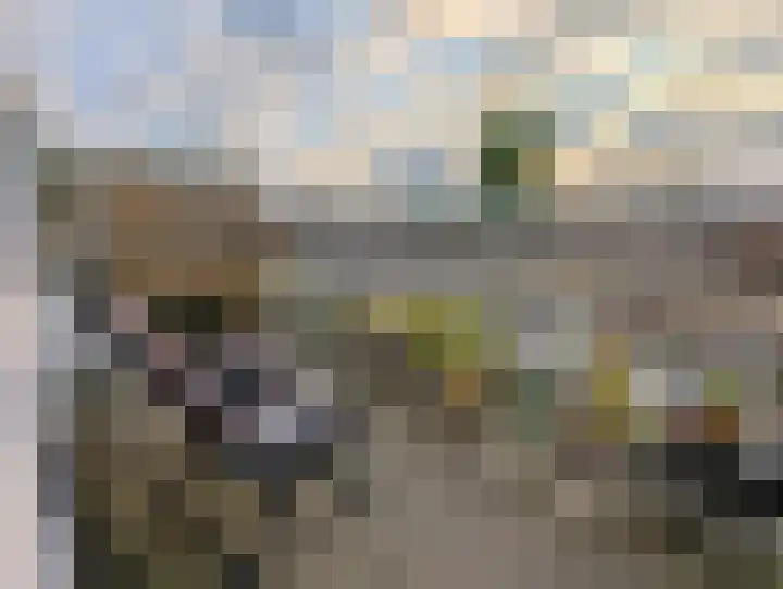 Danie Theronstraat 13 D Amsterdam thumbnail 21