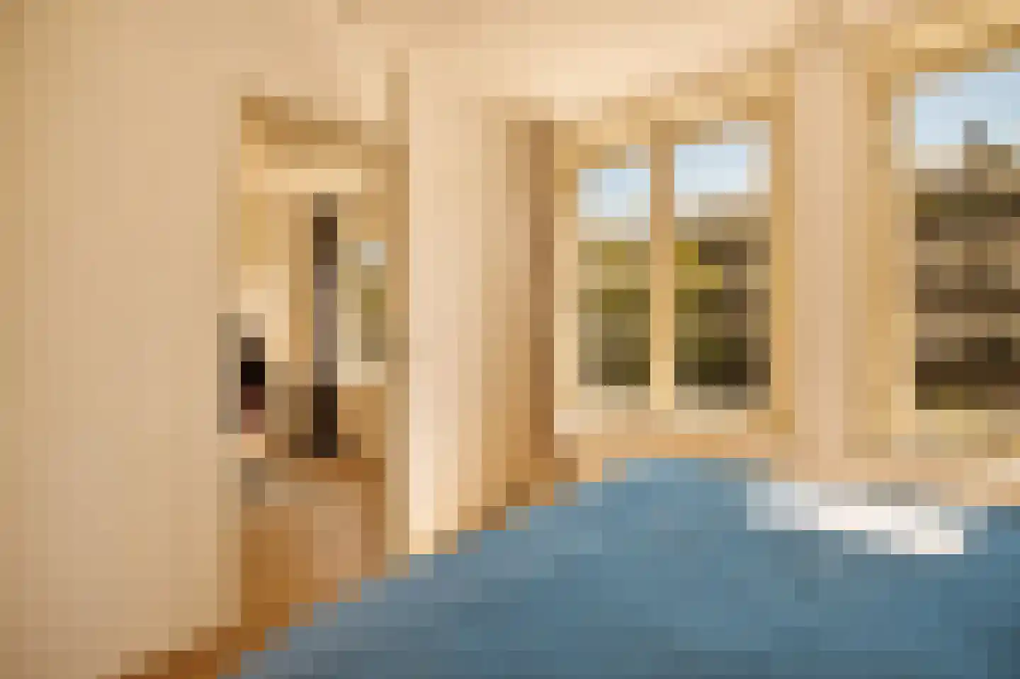 Danie Theronstraat 22 B Amsterdam thumbnail 11