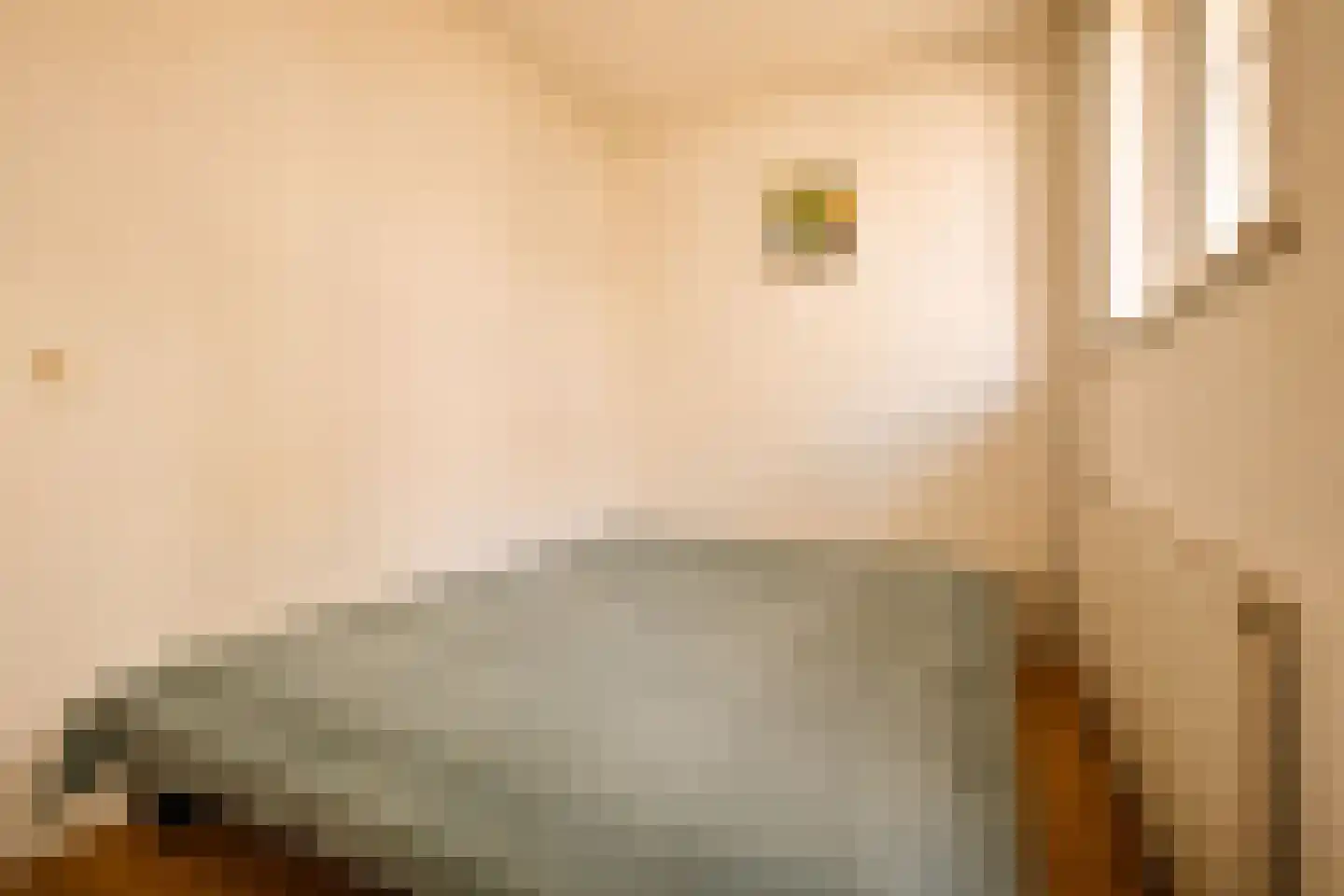 Danie Theronstraat 22 B Amsterdam thumbnail 14