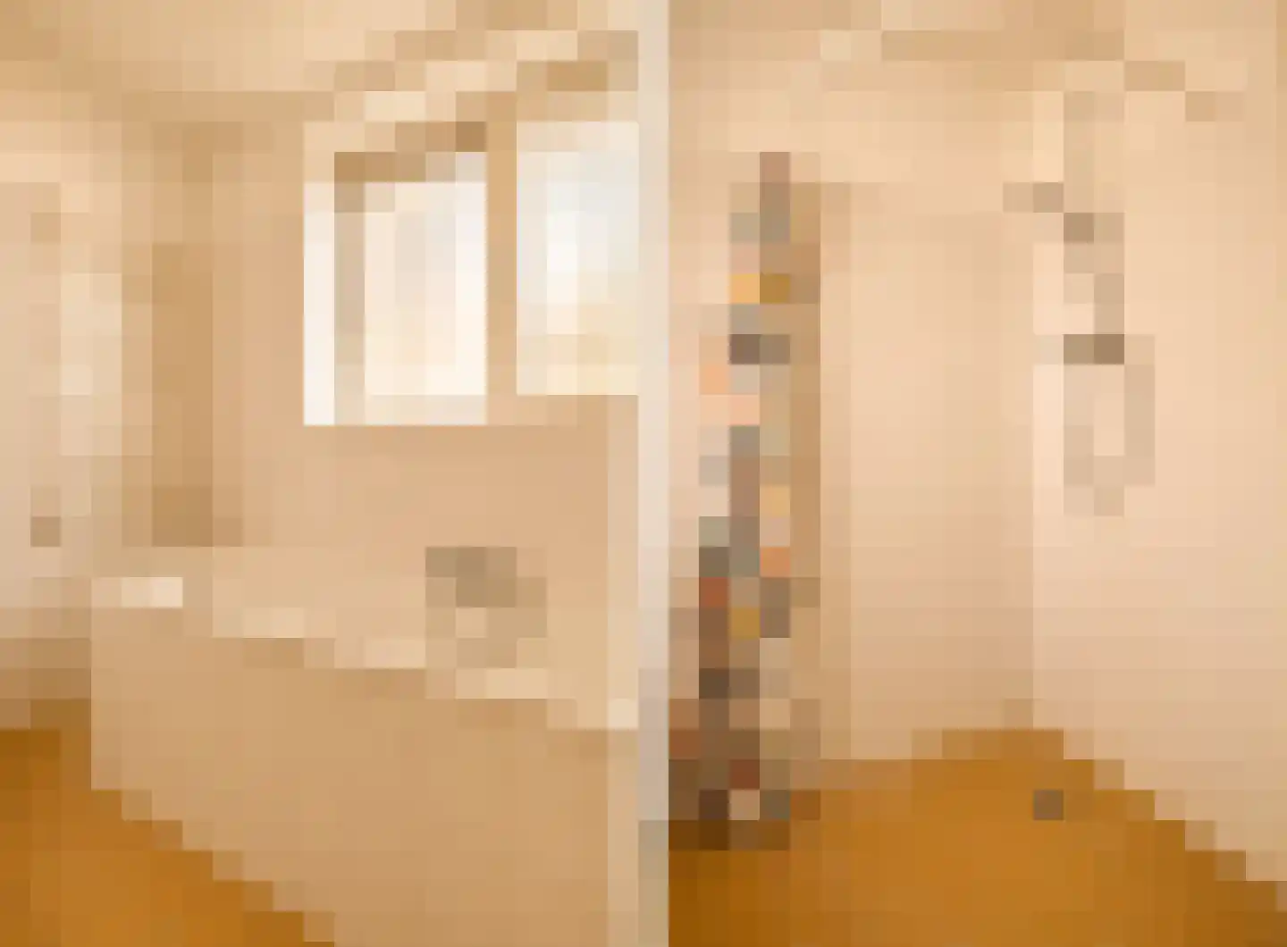 Danie Theronstraat 22 B Amsterdam thumbnail 16