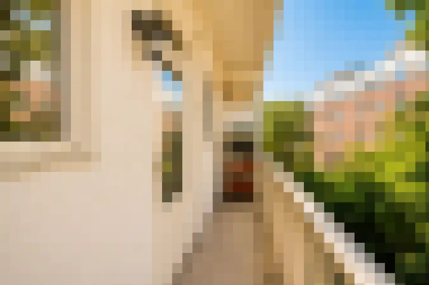 Danie Theronstraat 22 B Amsterdam thumbnail 19