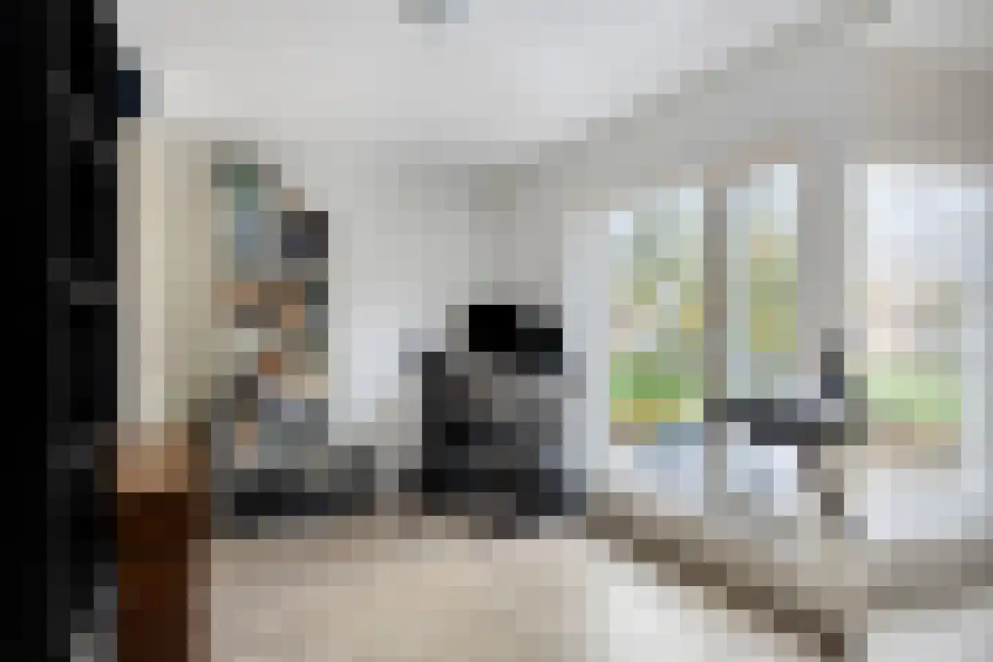 Danie Theronstraat 22 Tilburg thumbnail 15