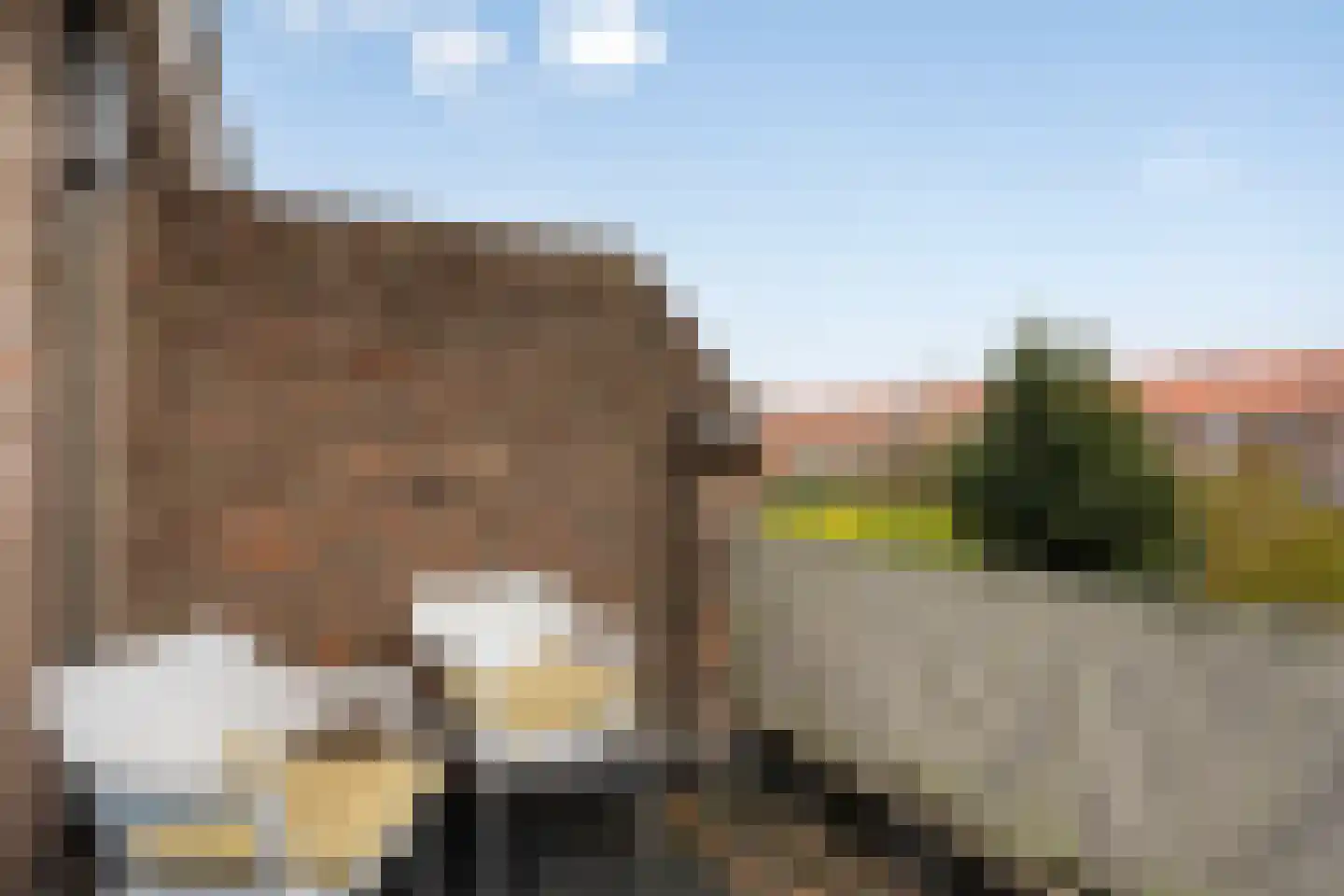 Danie Theronstraat 22 Tilburg thumbnail 19