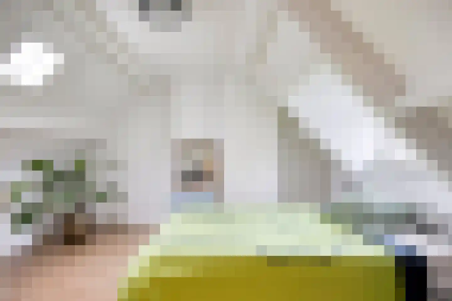 Danie Theronstraat 22 Tilburg thumbnail 22
