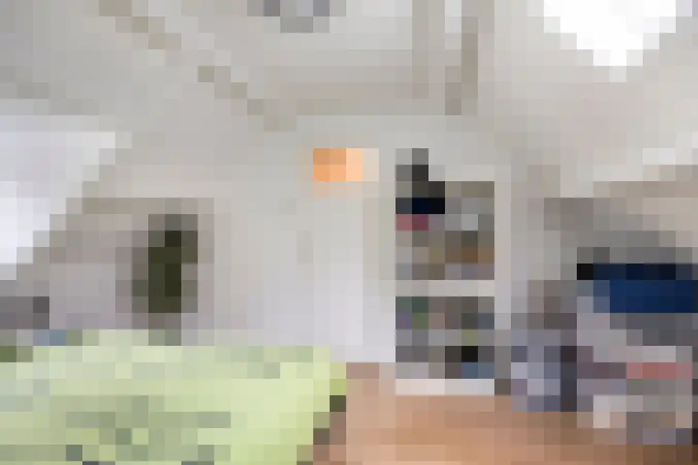 Danie Theronstraat 22 Tilburg thumbnail 23