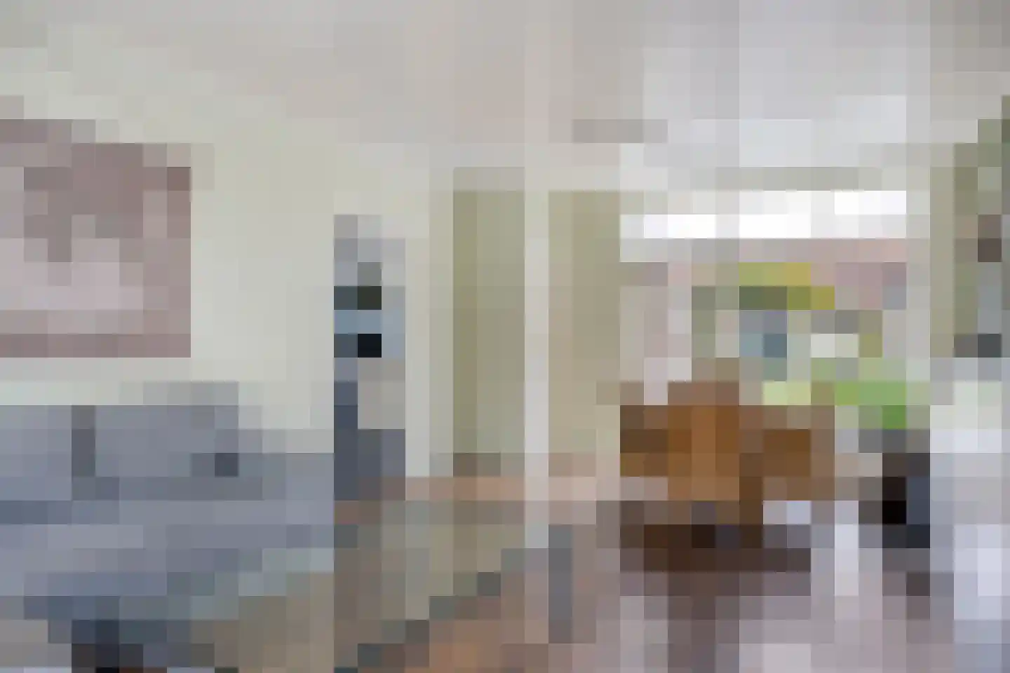Danie Theronstraat 22 Tilburg thumbnail 4