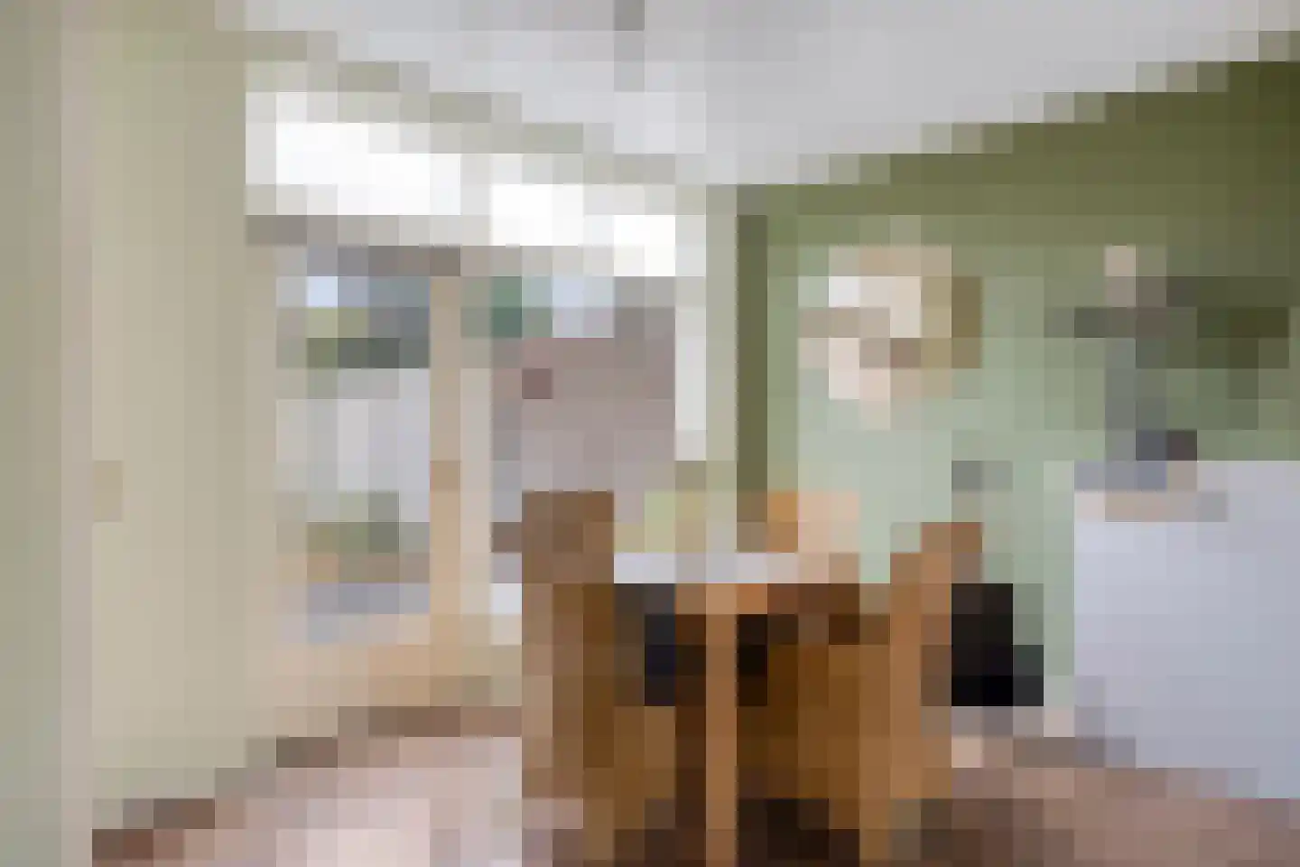 Danie Theronstraat 22 Tilburg thumbnail 6