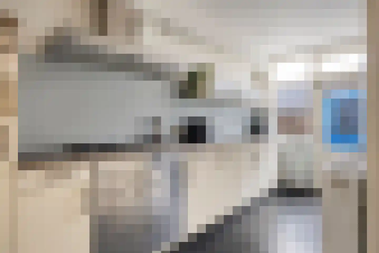 Danie Theronstraat 22 Tilburg thumbnail 8