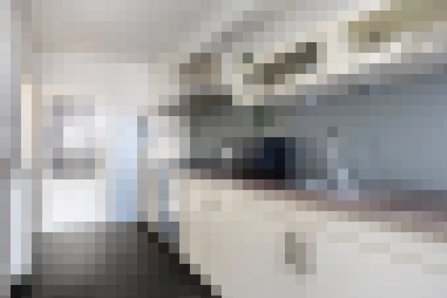 Danie Theronstraat 22 Tilburg thumbnail 9