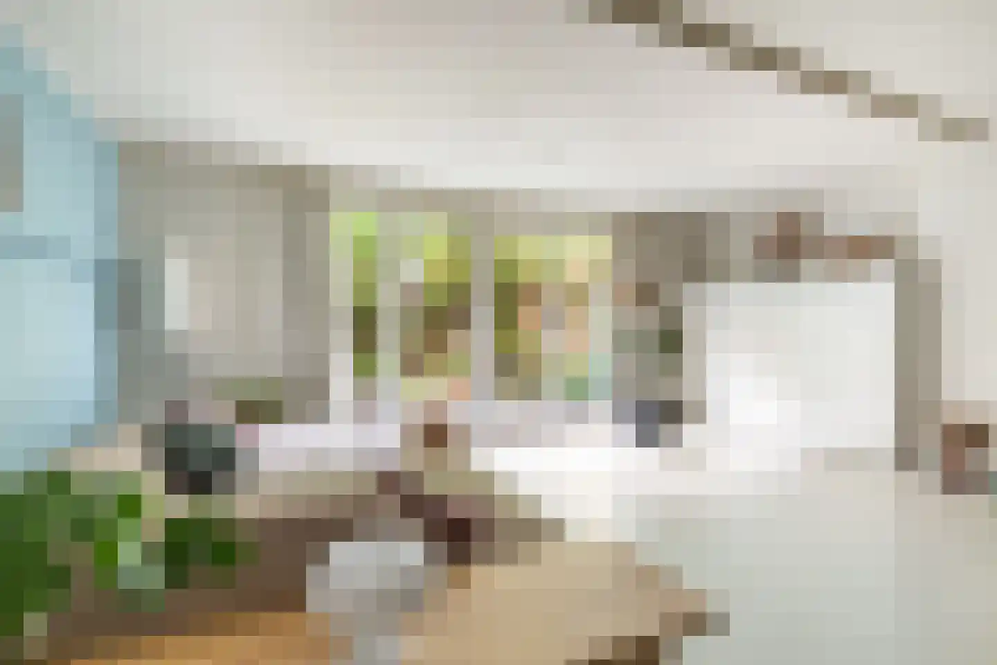 Danie Theronstraat 26 E Amsterdam thumbnail 11