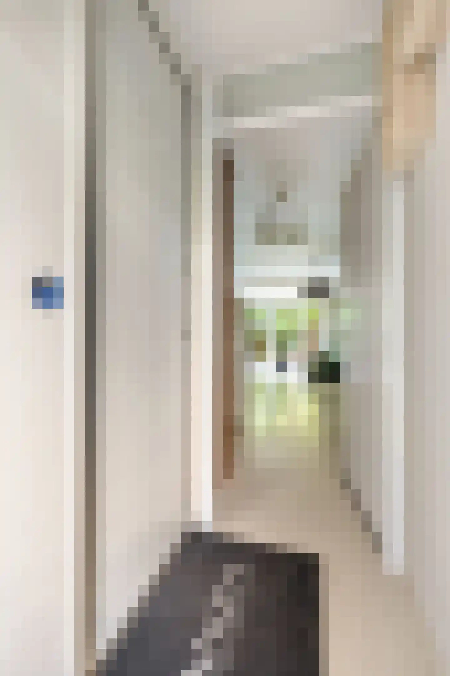 Danie Theronstraat 26 E Amsterdam thumbnail 19