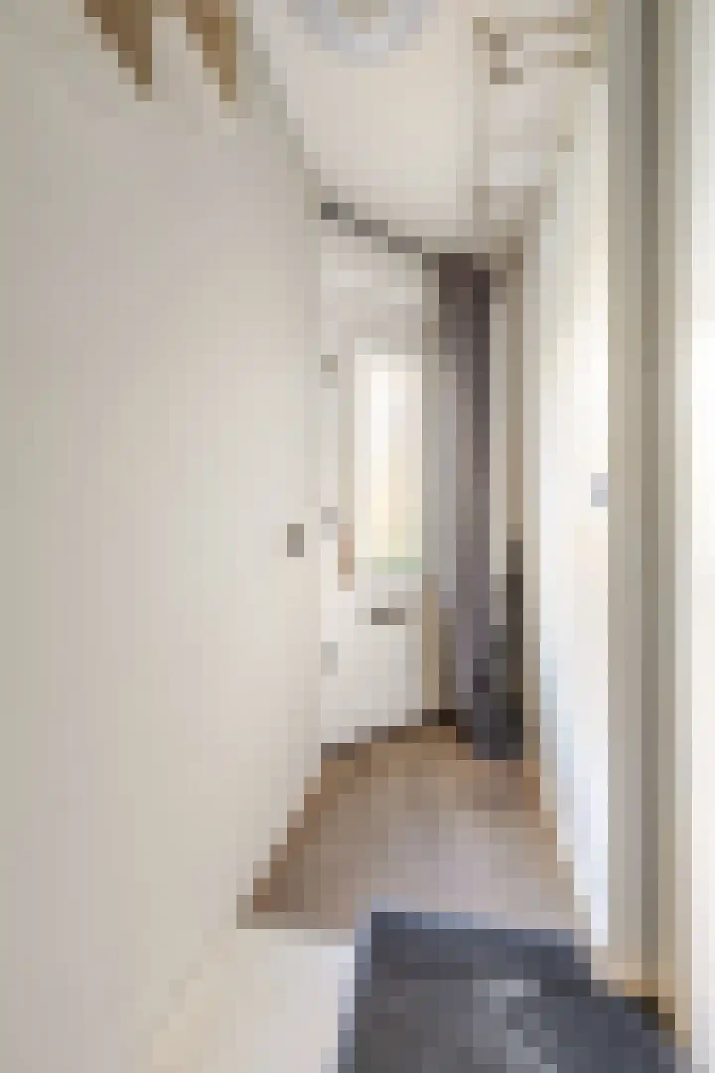 Danie Theronstraat 26 E Amsterdam thumbnail 22