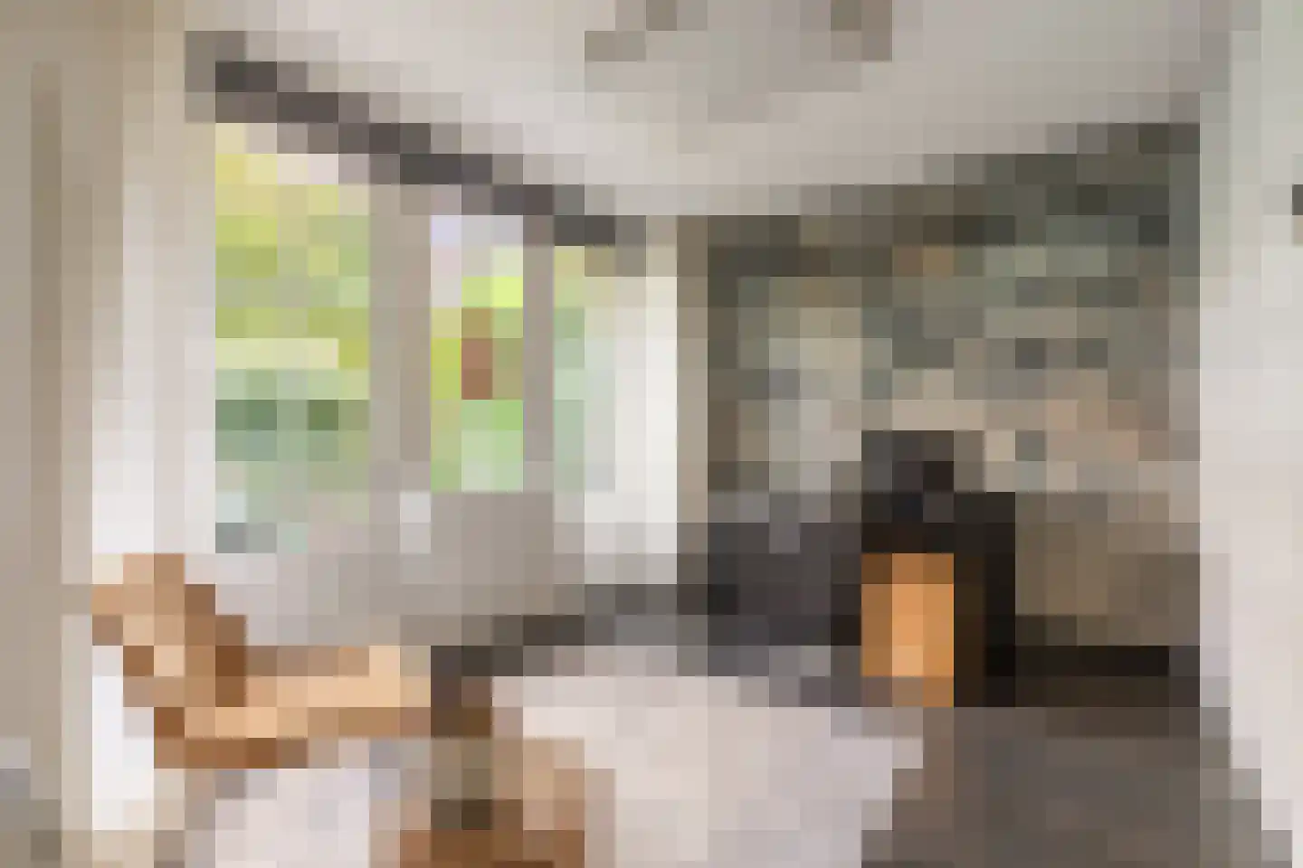 Danie Theronstraat 26 E Amsterdam thumbnail 23