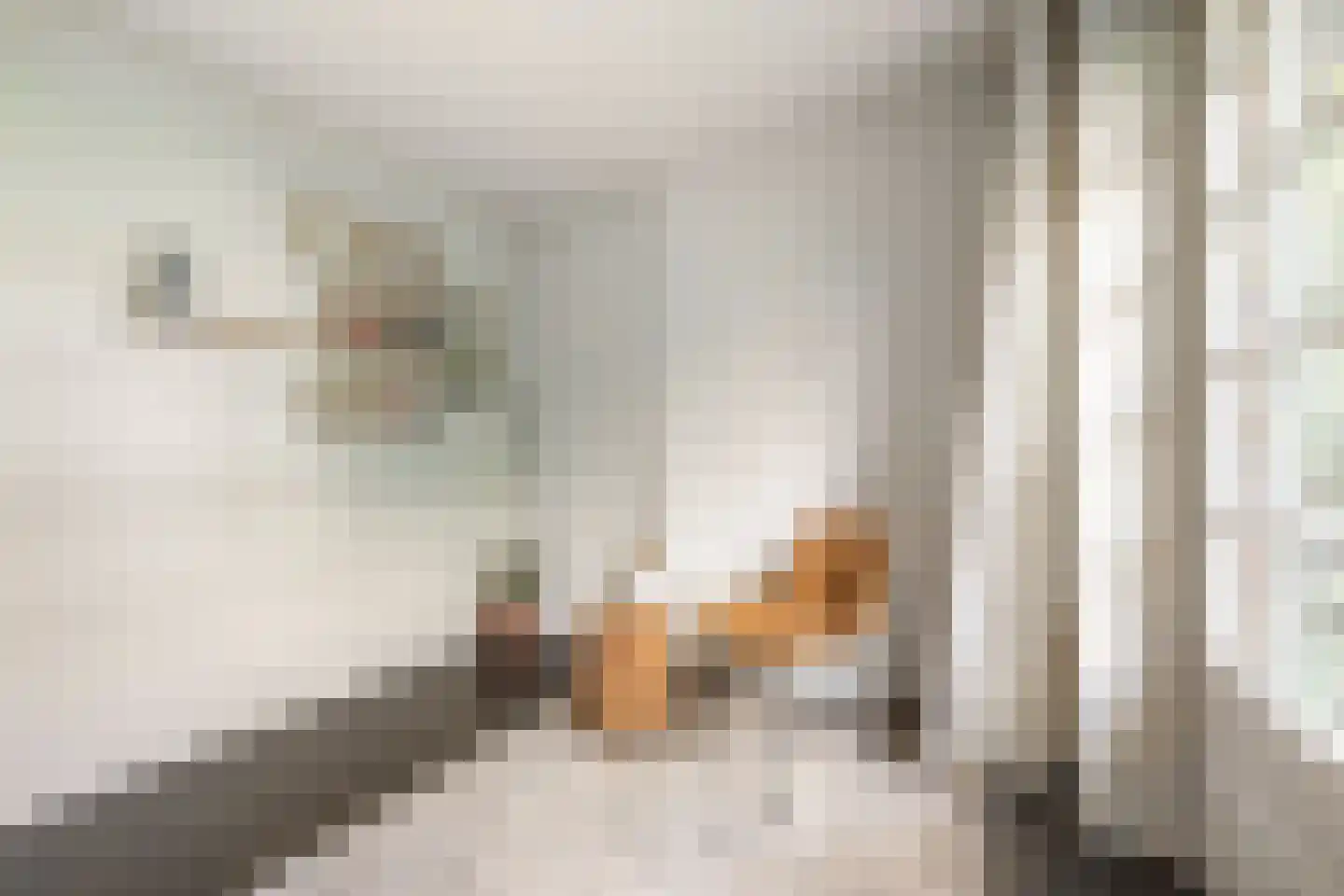 Danie Theronstraat 26 E Amsterdam thumbnail 24