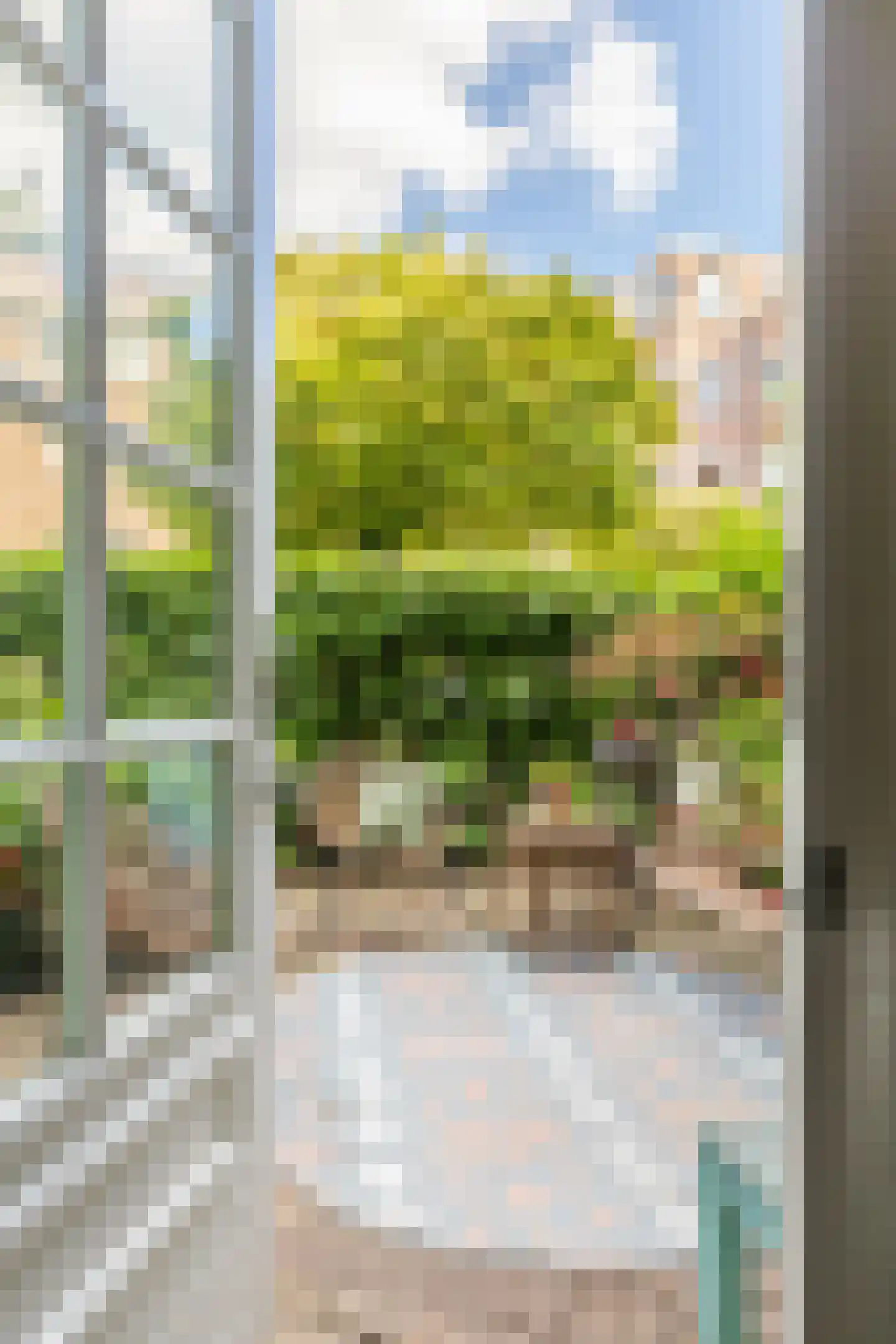 Danie Theronstraat 26 E Amsterdam thumbnail 25
